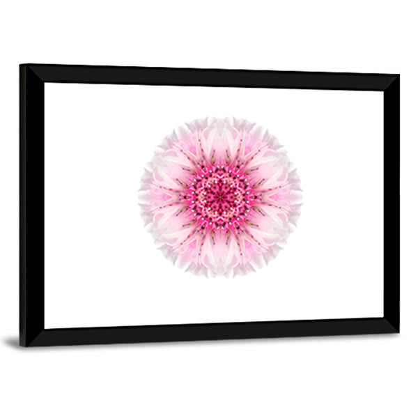 Pink Cornflower Mandala Canvas Wall Art