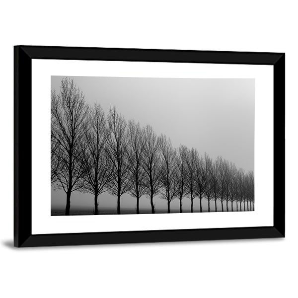 Autumn Trees in Mist Canvas Wall Art in black, white and gray, framed print, product view on a white background