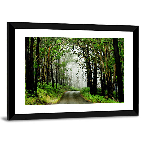 Forest Road With Fog Canvas Wall Art