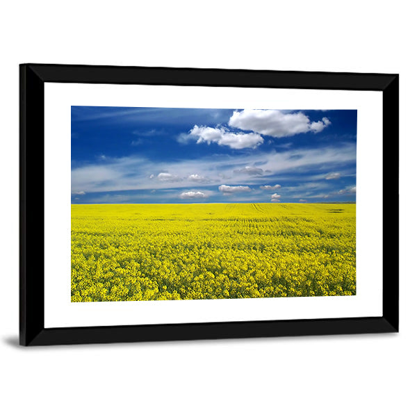 Golden Canola Field Canvas Wall Art