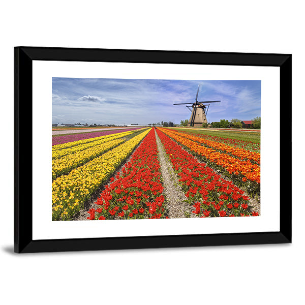 Colorful Dutch Tulip Fields with Windmill Canvas Wall Art