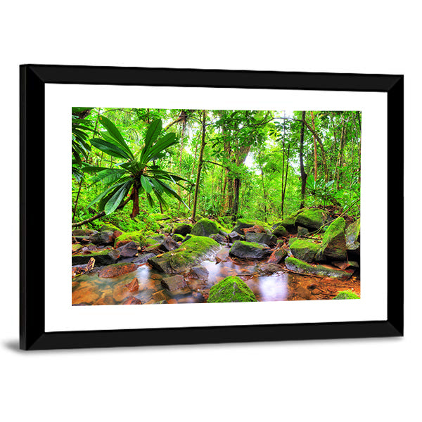 Masoala National Park in Madagascar Canvas Wall Art