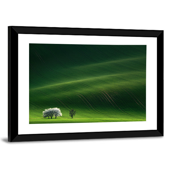 Moravian Green Rolling In Czech Republic Canvas Wall Art