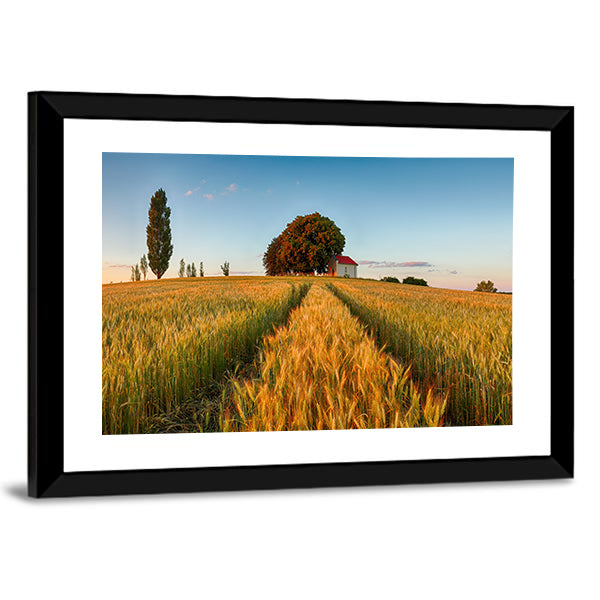 Summer Wheat Field at Golden Hour Canvas Wall Art