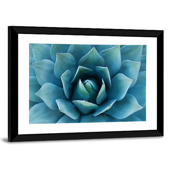 Closeup Of An Agave Plant Canvas Wall Art