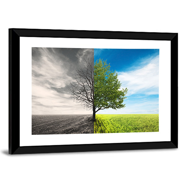 Split Lone Tree in Field Canvas Wall Art