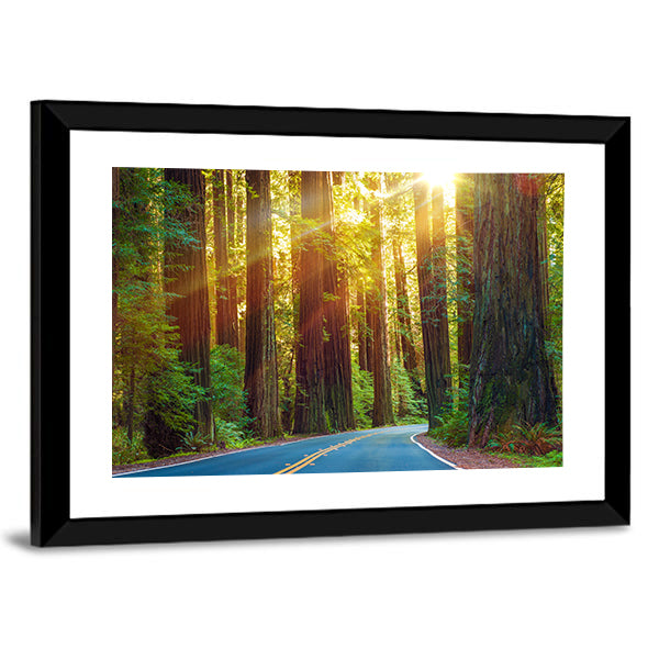Redwood Highway In Northern California Canvas Wall Art