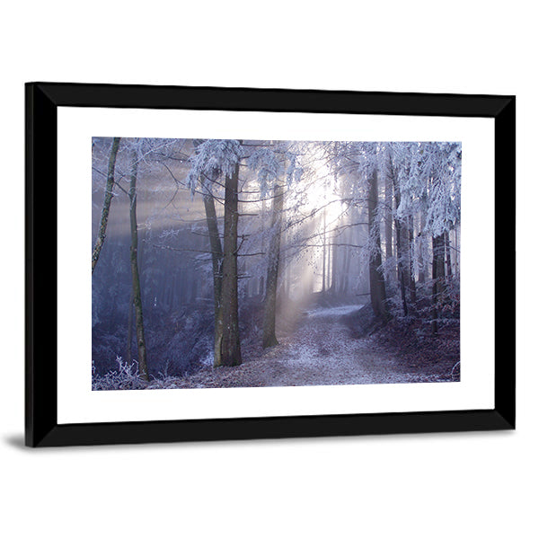 Mystic Forest Track Canvas Wall Art