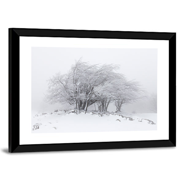 Foggy Winter Landscape In The Forest Canvas Wall Art