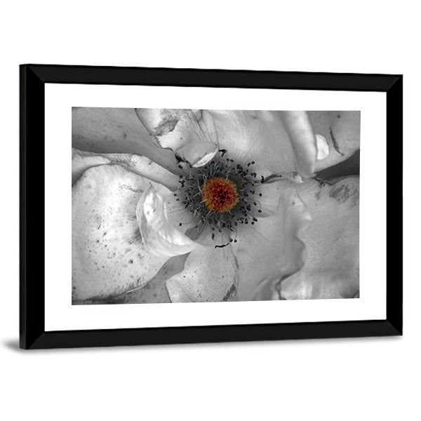 Selective Color Macro Flower Canvas Wall Art