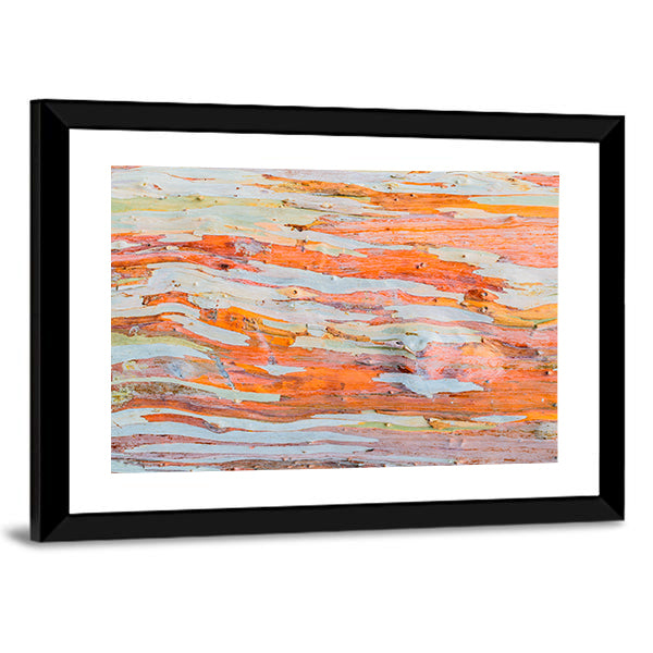 Eucalyptus Tree Bark Canvas Wall Art