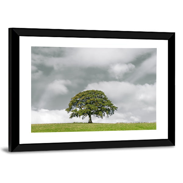 Summer Oak on Grassy Hill Canvas Wall Art