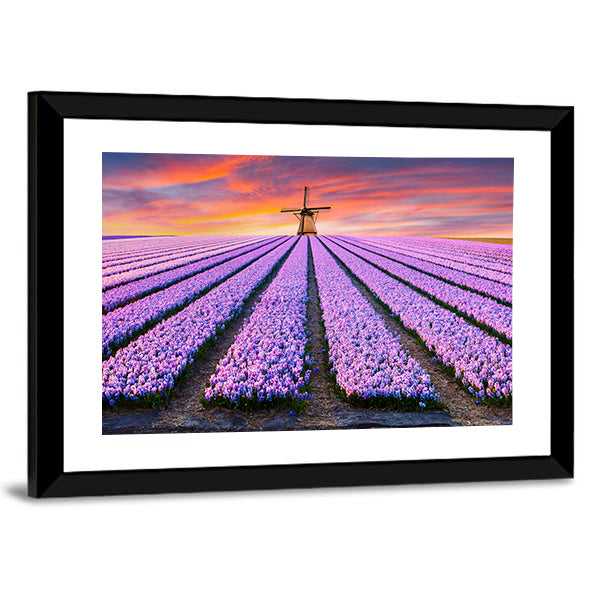 Spring Scene On The Flowers Farm In Netherlands Canvas Wall Art