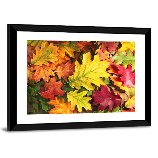 Colorful Oak Autumn Season Leaves Canvas Wall Art