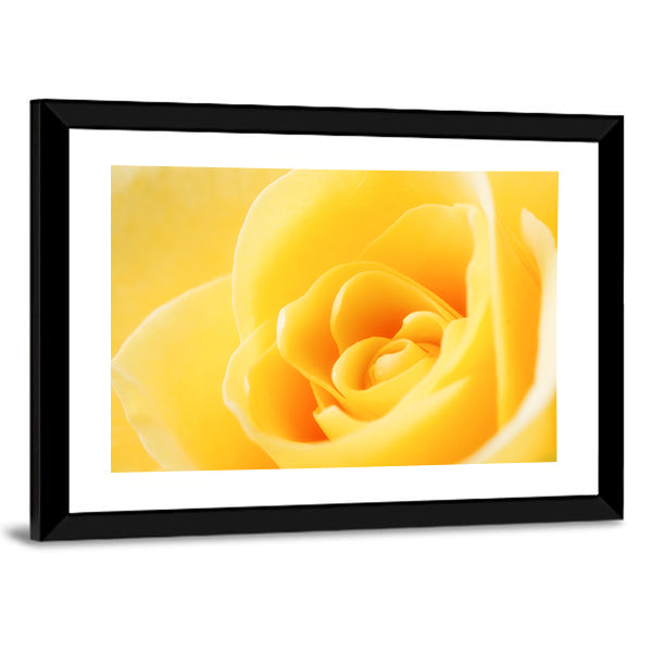 Yellow Rose Close-Up Canvas Wall Art