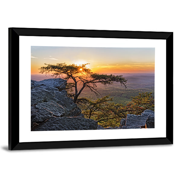 Gnarled Tree at Sunset Overlook Canvas Wall Art