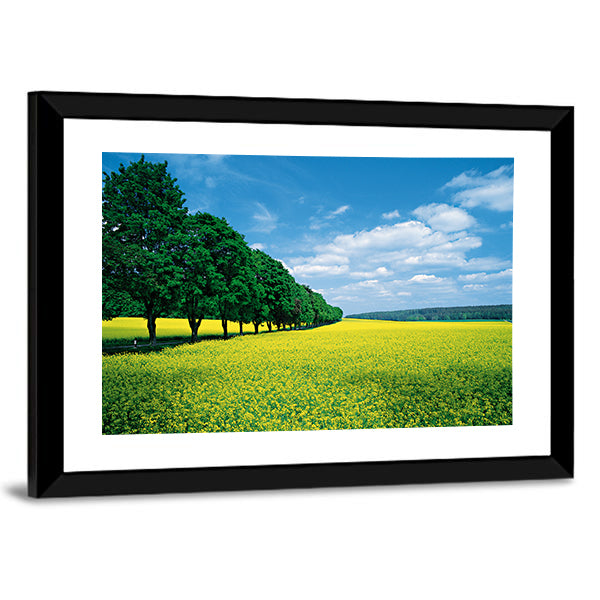 Spring Fields And Allee In Summer Canvas Wall Art