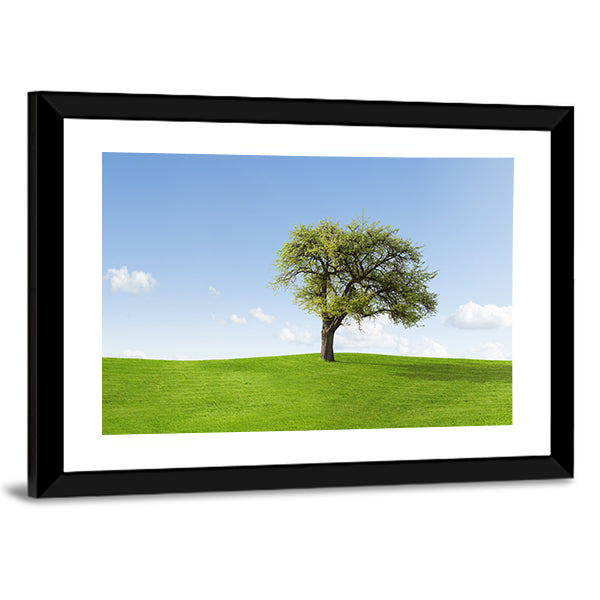 Solitary Tree on Sunny Green Hill Canvas Wall Art