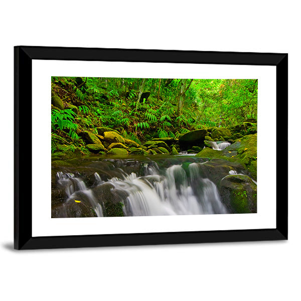 Stream Flowing Through Lush Jungle In Maui Hawaii Canvas Wall Art in white, brown and green, framed print, product view on a white background