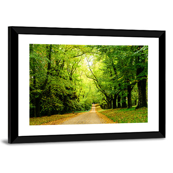 Path In The Forest Woods Canvas Wall Art