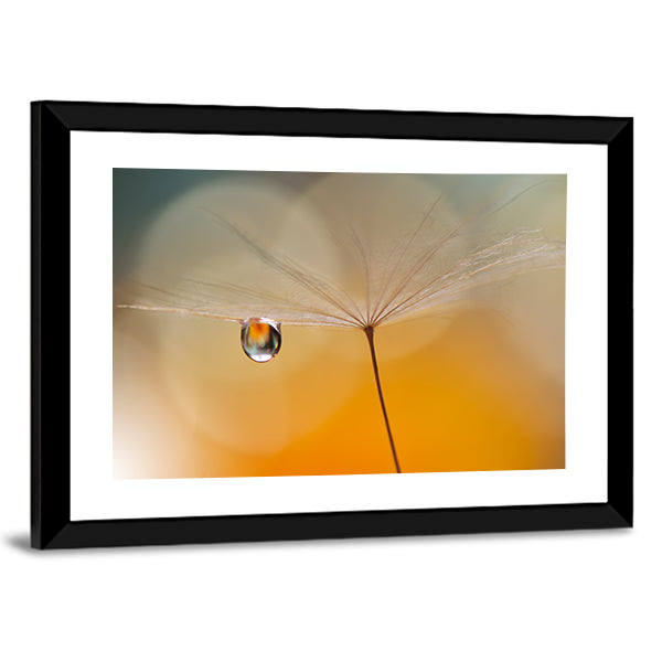 Dandelion Seed with Water Droplet Canvas Wall Art