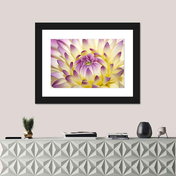 Macro Pink Flower Canvas Wall Art