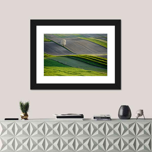 Wavy Fields In Poland Canvas Wall Art