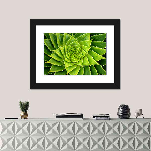 Vivid Green Spiral Aloe Plant Canvas Wall Art
