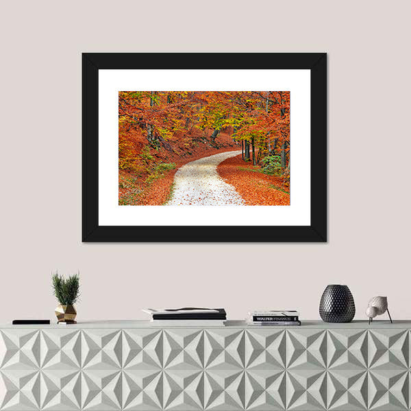 Autumn Misty Forest In Fall Canvas Wall Art