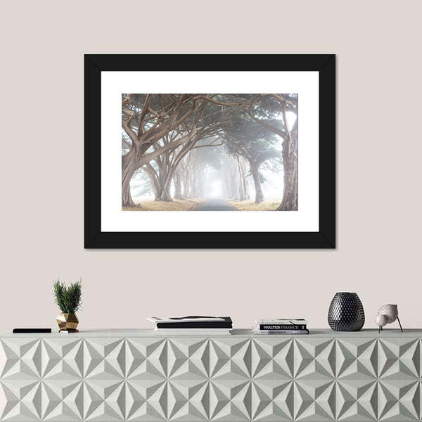 Misty Trees Alley In Foggy Weather Canvas Wall Art
