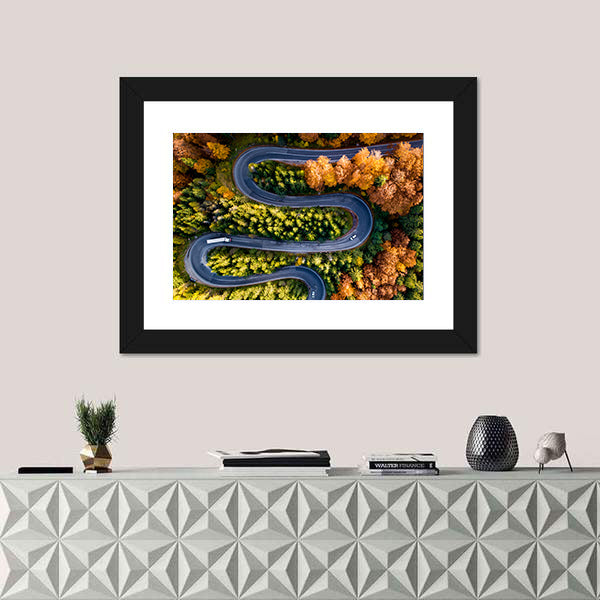 Winding Forest Road From Top Canvas Wall Art