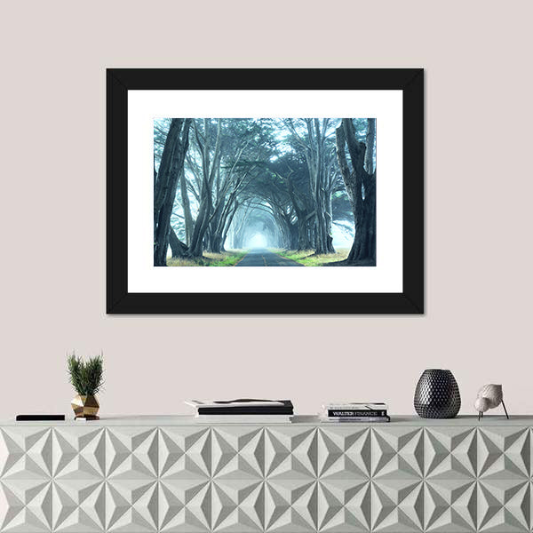 Misty Trees Alley In Foggy Weather Canvas Wall Art