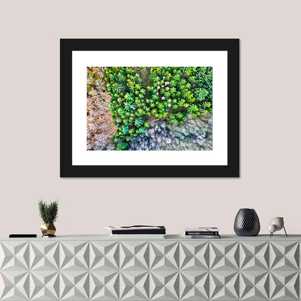 Aerial View Of Trees In The Vosges Mountains In Alsace France Canvas Wall Art
