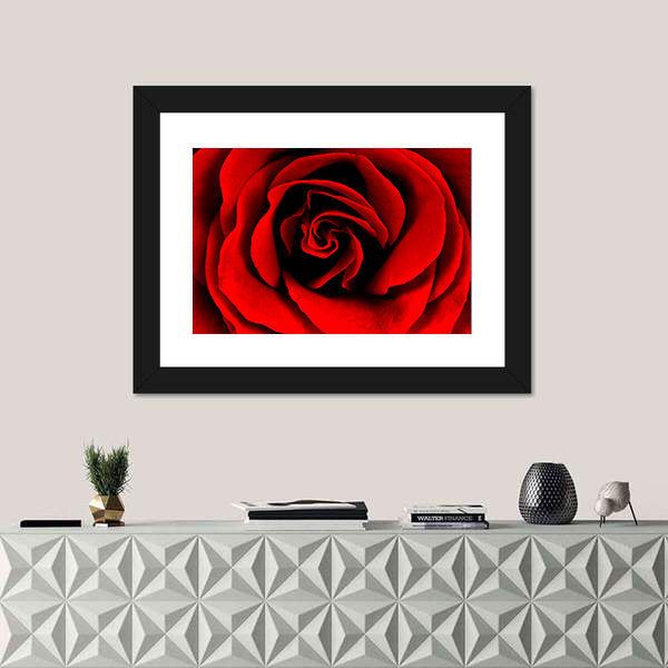 Closeup Of A Red Rose Canvas Wall Art