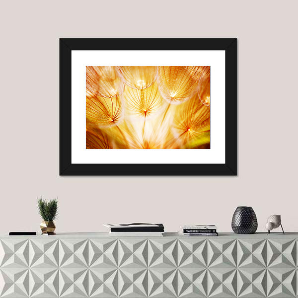 Soft Dandelion Flower Canvas Wall Art