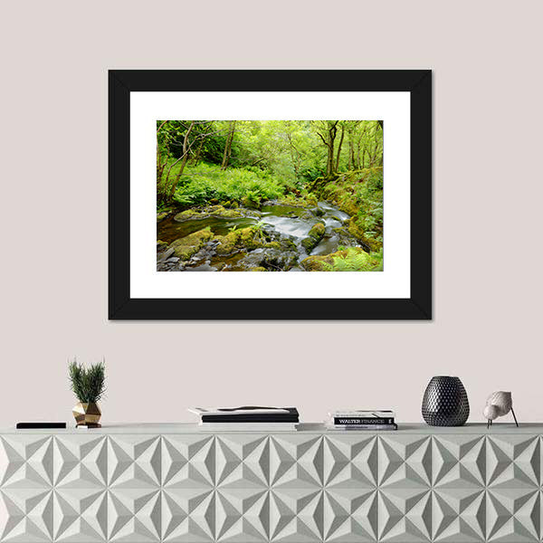 Dolgoch Falls In Wales UK Canvas Wall Art