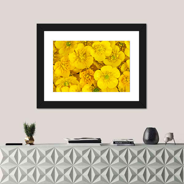 Yellow Wild Buttercups Canvas Wall Art