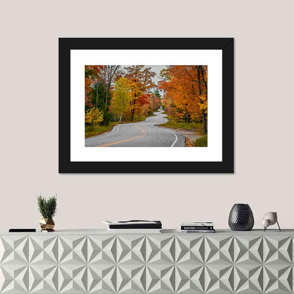 Winding Road In Wisconsin Canvas Wall Art