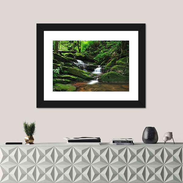 Waterfall In Rain Forest Canvas Wall Art