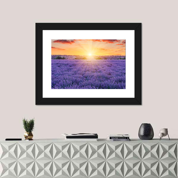 Lavender Fields At Sunset Canvas Wall Art