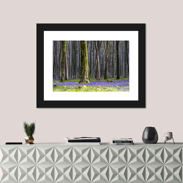 Springtime Bluebell Wood in England Canvas Wall Art