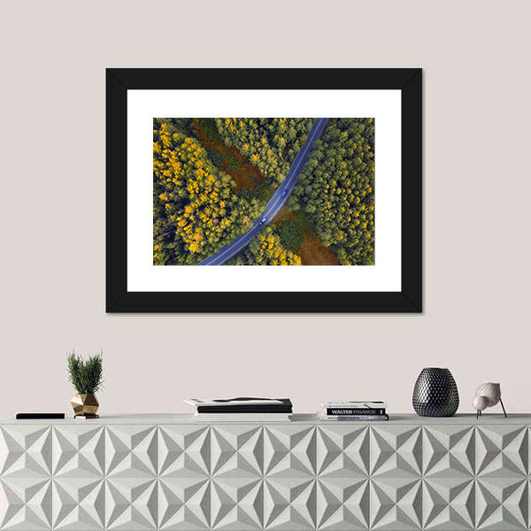 Travel Through Forest Canvas Wall Art