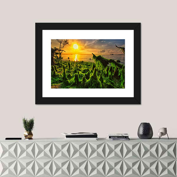 Moss-covered Mangrove Roots at Sunset Canvas Wall Art