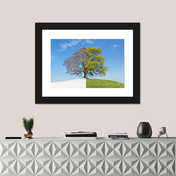 Tree Split Between Winter and Summer Canvas Wall Art