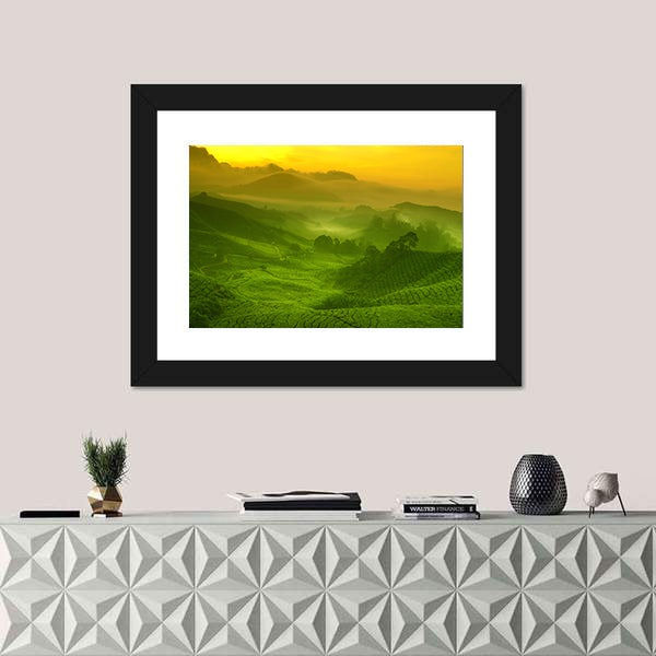 Tea Plantation In Cameron Highland At Sunrise Canvas Wall Art