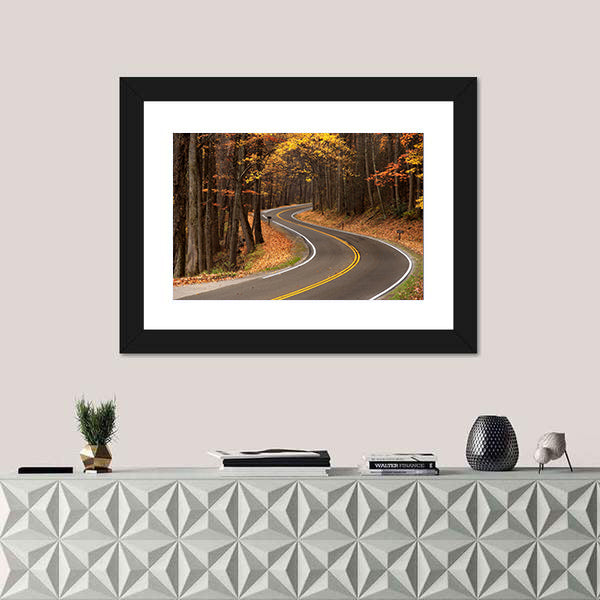 S-curve Road in Great Smokey Mountains Canvas Wall Art