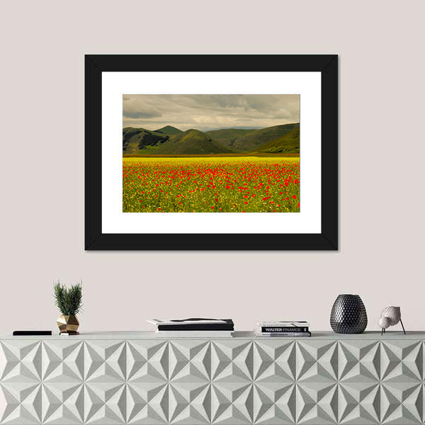 Castelluccio Di Norcia Meadow with Red Poppies Canvas Wall Art