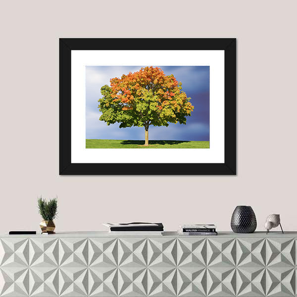 Maple Tree In Autumn Canvas Wall Art