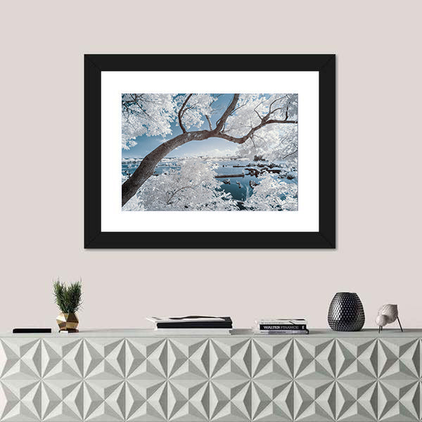 Landscape Of Forest And Pond Canvas Wall Art