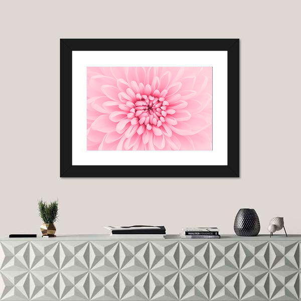 Pink Chrysanthemum Petals Canvas Wall Art